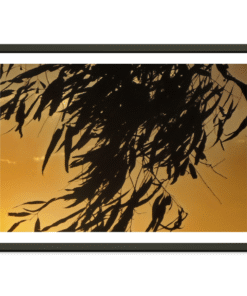 472e600f-f563-46cc-8e5a-59822ee12359