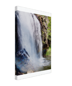 47951952-ac65-42fb-aef8-20c4b8c78656