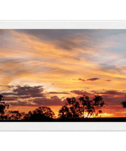 54000531-2383-4b6e-bb8f-6c766ac8757f