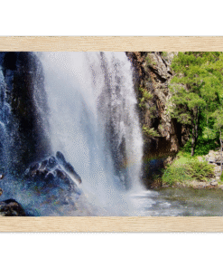 55b47a68-1253-4650-83e6-3f5e96730fe0