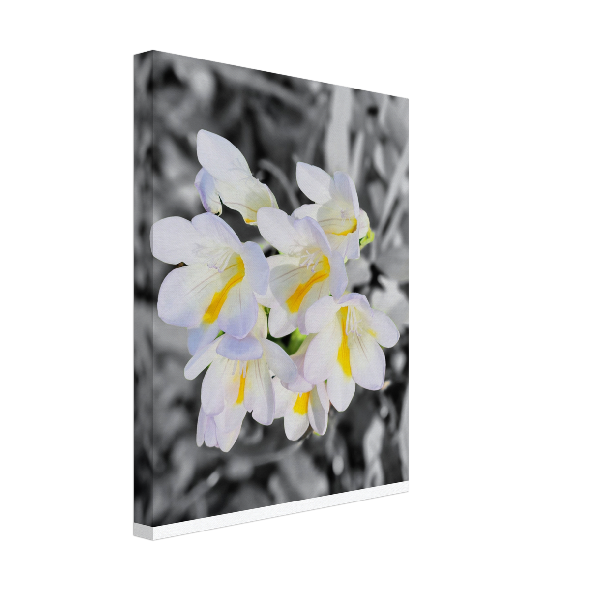 57b11232-2893-4841-bd87-7f9b5314080e