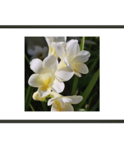 5d0b4365-e08d-4237-8abf-ad864a7b91b4