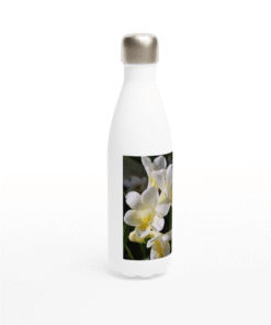 Beautiful White Freesias Flowering In Spring White 17oz Stainless Steel Water Bottle