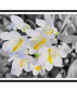 662674a5-54a8-4b19-82e1-139f409429d0