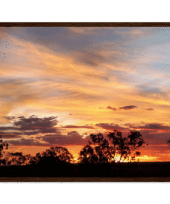 67b3976a-7866-43cc-a895-0b6f55574788