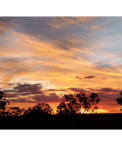 6acc1dea-422c-48ac-a4ce-849938256503