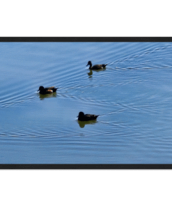 6f98851c-38d7-4459-ba2e-f05a53b064d6