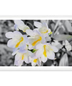 719e78c9-975c-4870-a40d-45aa00361555