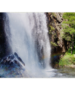 71d1a557-d3fc-46a4-8d5b-fadc677c82cd