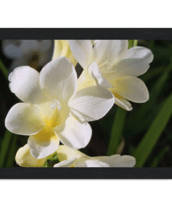 73b0f905-51d4-40a9-a401-c57ec5712bed