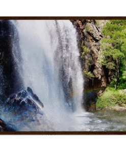 742910f6-4c95-416a-bbee-c7e67ce8695e