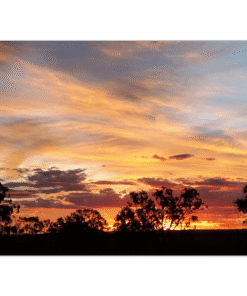 778fe525-4abc-40c5-ba53-0a3cbbea8b41