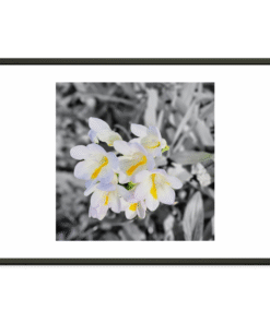 8803d5bc-2352-444c-9fcc-b6969db11b99