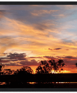 88880822-fd0e-4994-804a-416257cfc4ea