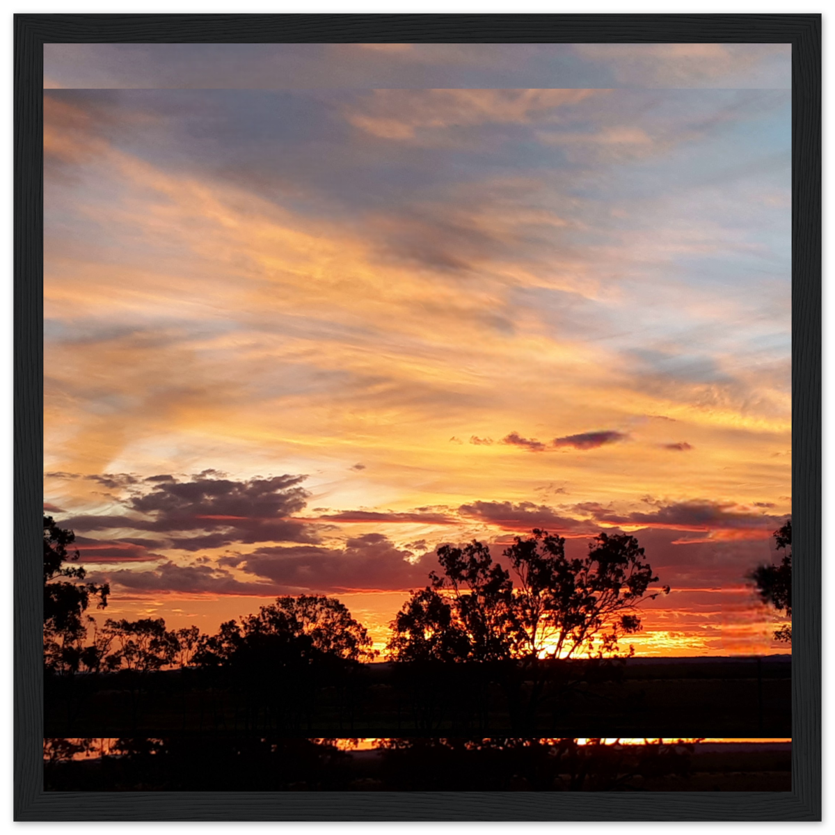 88880822-fd0e-4994-804a-416257cfc4ea