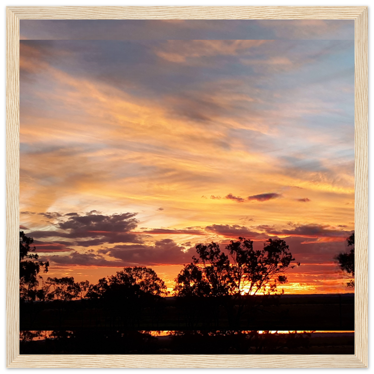 8ac0cdc6-57bd-4156-b5a4-757ff421d945