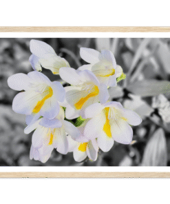 8c693db6-9274-4c78-a56c-66f555f475ff
