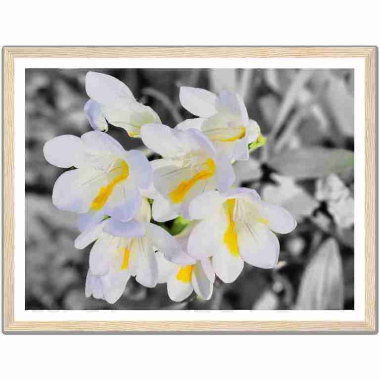 8c693db6-9274-4c78-a56c-66f555f475ff
