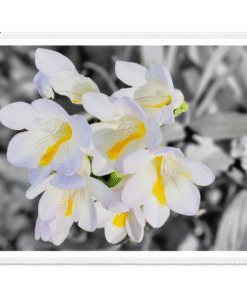 91c060f6-8c79-4725-bc9e-9cb0052d97a6