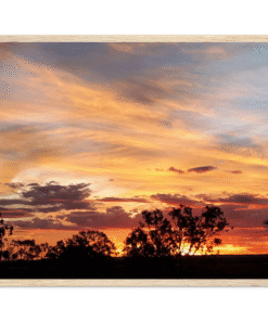 93971275-0635-4950-b77b-9029ac95b7be