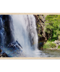 98ba725e-dd33-4036-9108-73aa9bc1081f