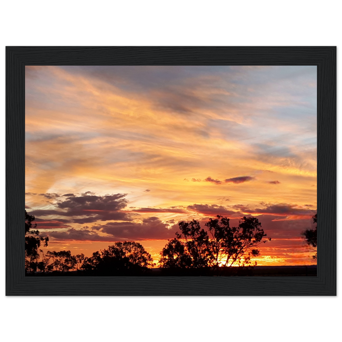 9a6b9363-9826-46f7-a04a-fd30bbcf3420