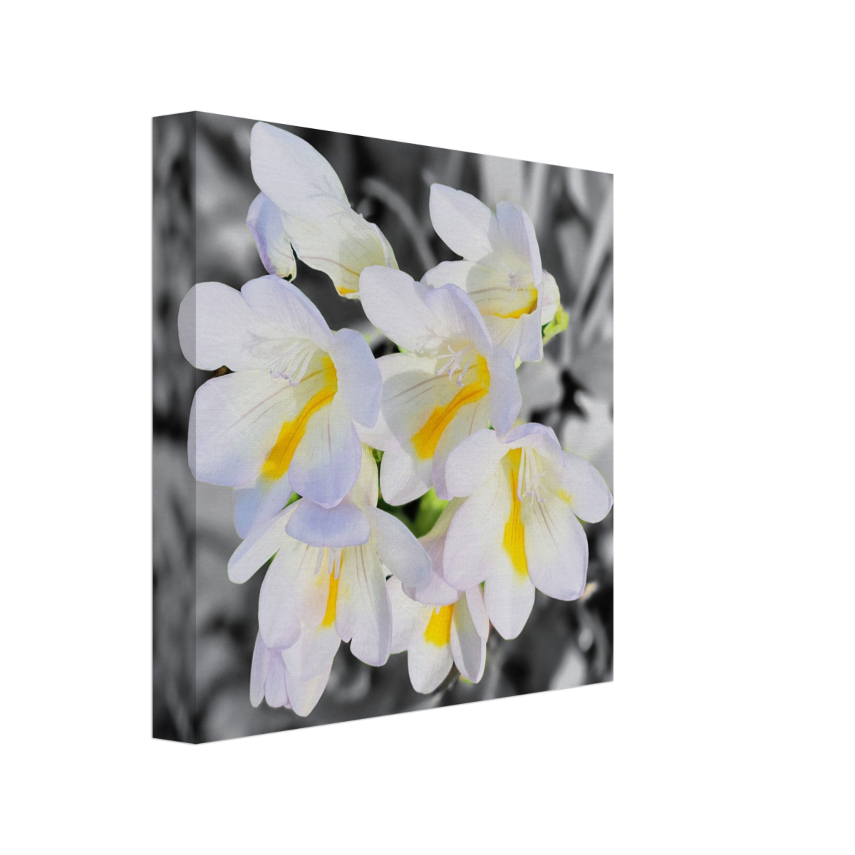 ab1964a8-68c9-4076-9c9e-6ed5f3181916