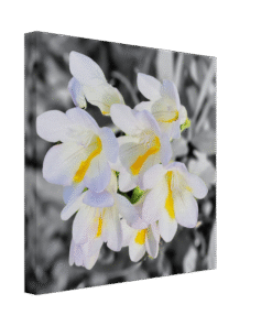 aface0ce-721c-448c-ba9e-3c4feb16a7eb