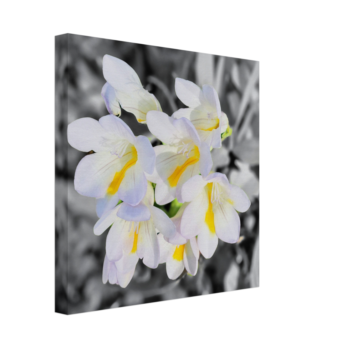 aface0ce-721c-448c-ba9e-3c4feb16a7eb