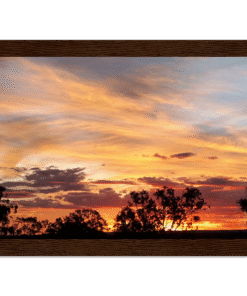 b2b81643-b558-44c1-894a-474feff61886