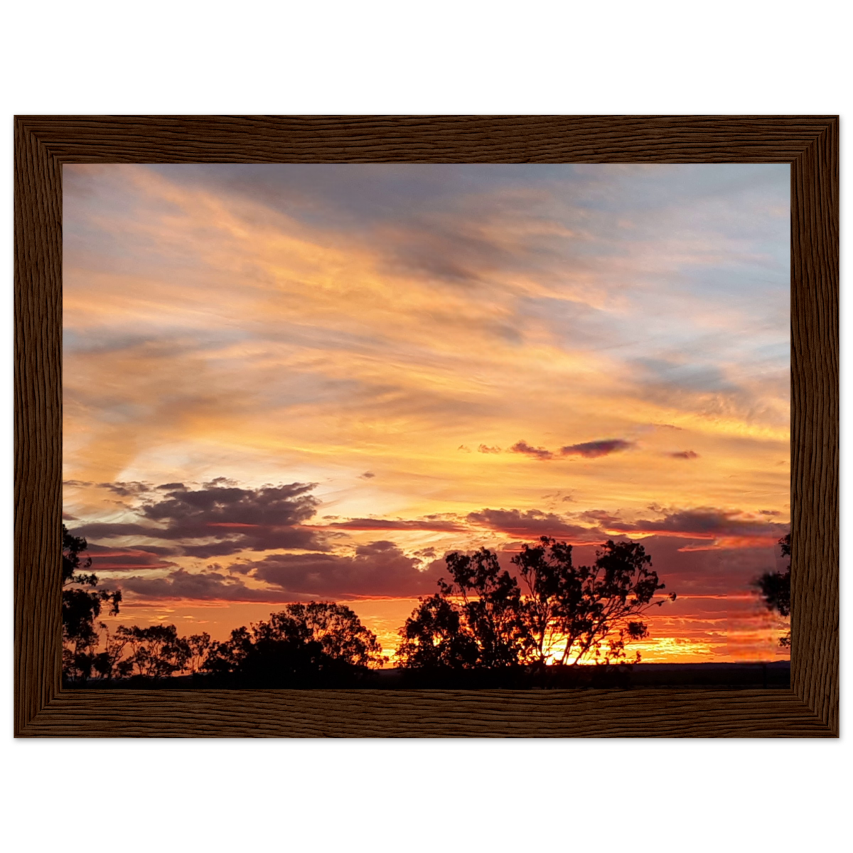 b2b81643-b558-44c1-894a-474feff61886