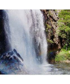 b38c06db-4e88-4498-930c-8b8d20b2cdcd