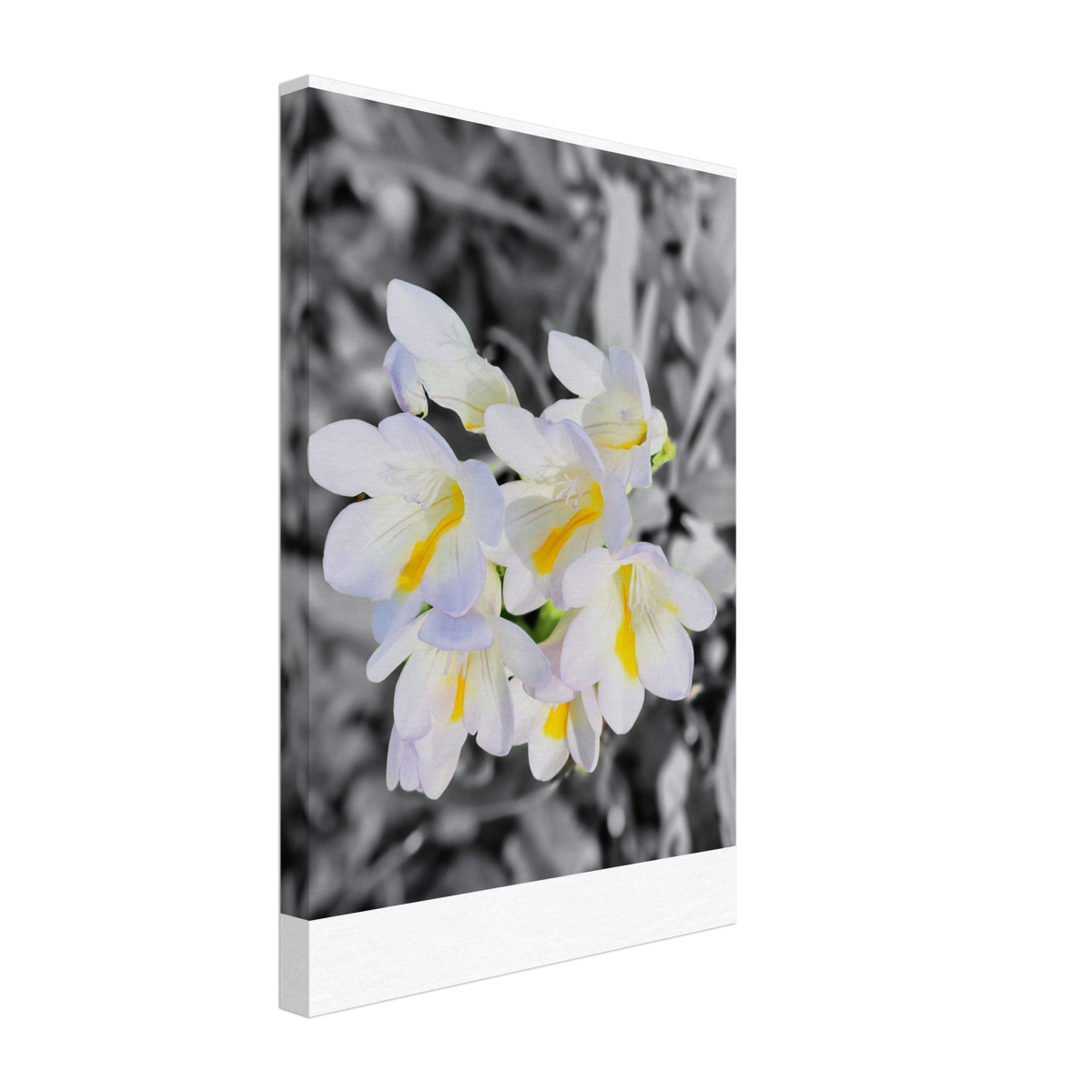 b8844de6-c574-4507-b22c-7c02969d7c3c