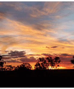 c68a426f-2ab7-4b91-a512-2ce82f860eae