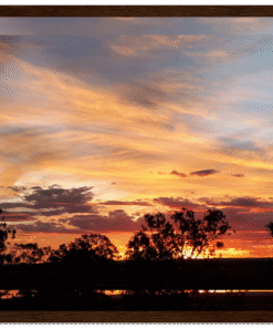 c7917056-d3ac-4c0f-ad51-7657feff55e3