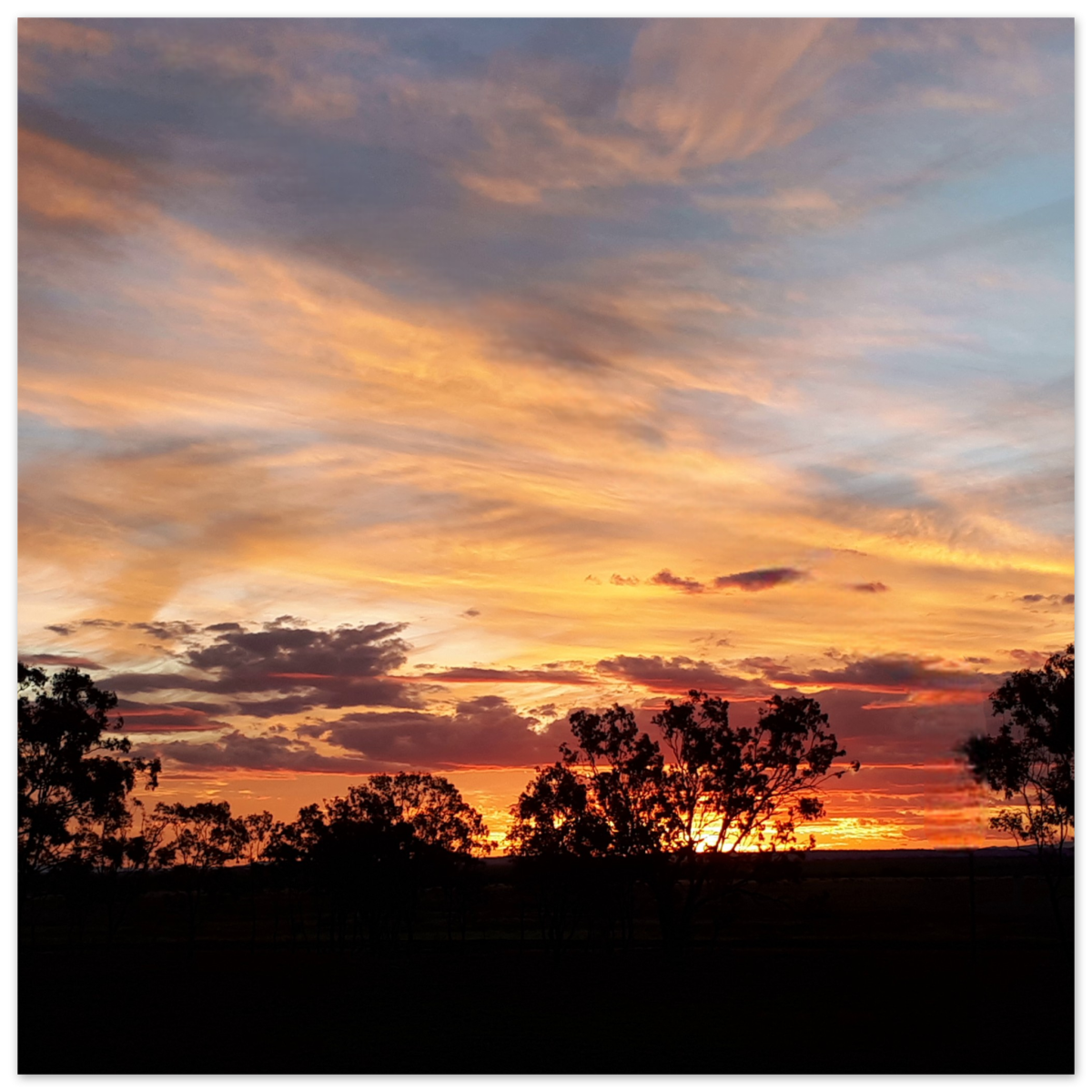 d04f9c08-c7e8-47c0-bef9-cfd27201d83e