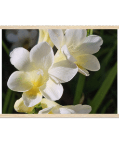 d77fff06-606c-44ae-85a3-8006a0bff3ba