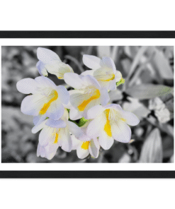 e2771a46-f595-41b1-b996-f6dc5b28b888