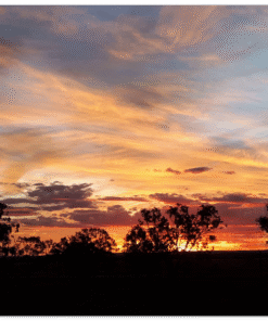 e459032f-64a6-4eeb-a09b-ecfe35bfc3f4