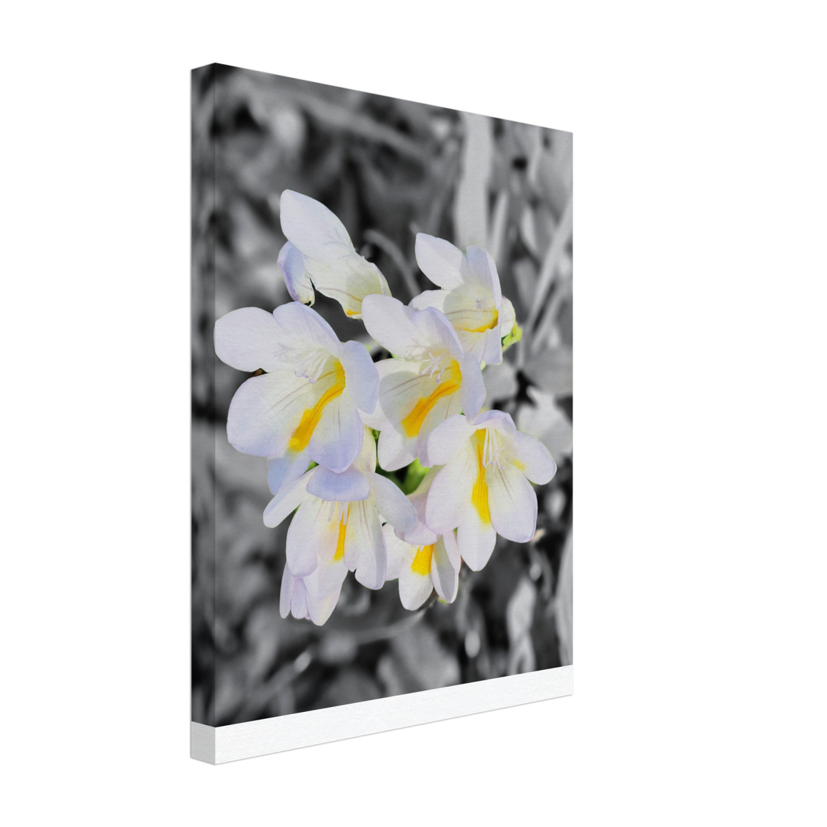 e66e4d88-86a6-4ea1-aaee-304ed6690d49