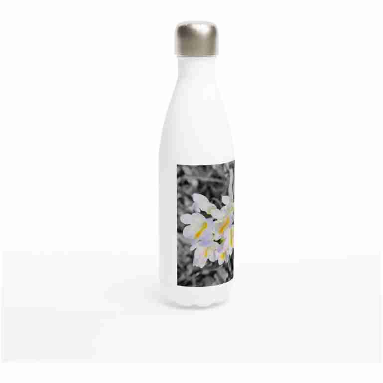 White Freesia On A Black And White Background White 17oz Stainless Steel Water Bottle