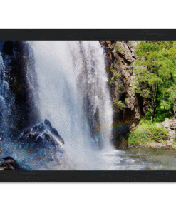 e9205ad3-a6a5-4f95-9fff-511cc79d4e7f