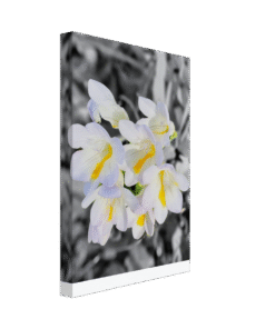 e96ff9f0-aa79-4a86-a97d-3c405349c563