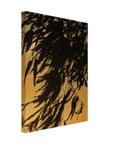 ea573d03-4f40-4c90-a04b-e9d8aba27b73