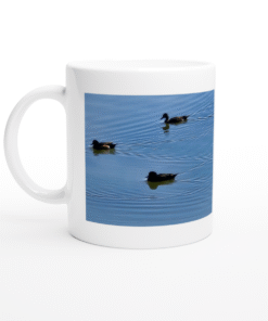 Ducks Swimming On The Lake White 11oz (325mls) Ceramic Mug