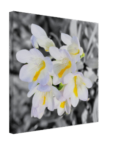 f904d94c-f27a-47c7-a8f0-8a884820189c