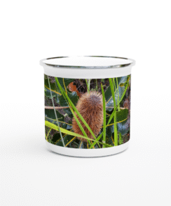 Dried Banksia Flower With Green Leaves White 12oz (354mls) Enamel Mug