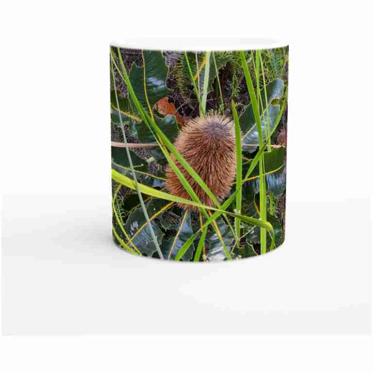 Dried Banksia Flower With Green Leaves White 11oz (325mls) Ceramic Mug