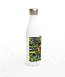 Dried Banksia Flower With Green Leaves  White 17oz Stainless Steel Water Bottle