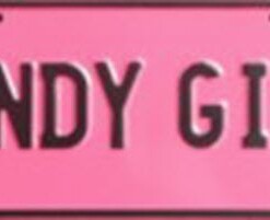 BUNDY GIRL Black on Pink Novelty Number Plate